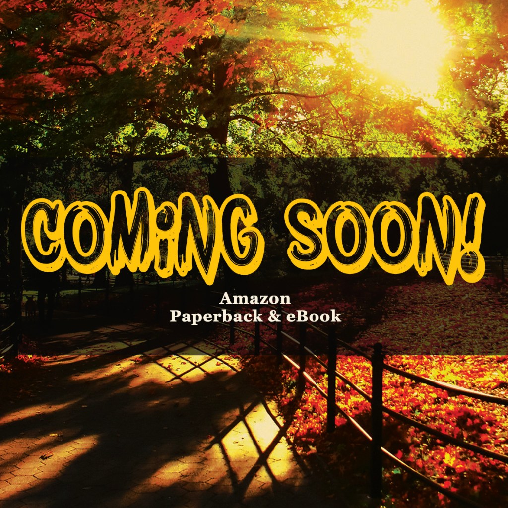 Incontrando / Meeting Laura - Coming Soon - Amazon Paperback & eBook